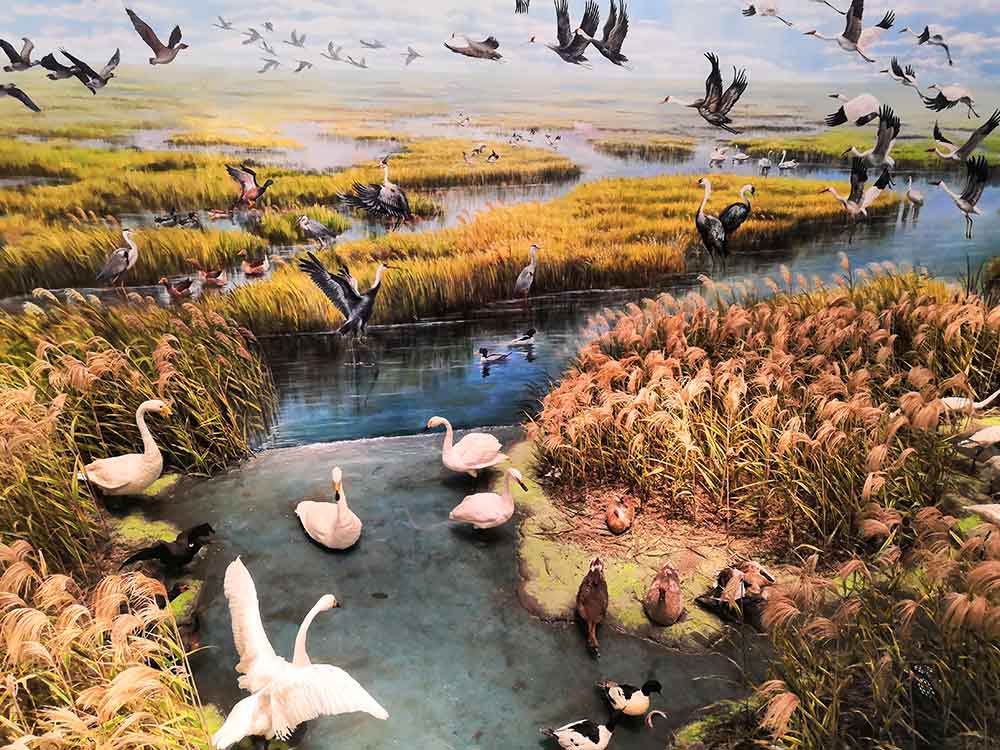  場(chǎng)景復(fù)原