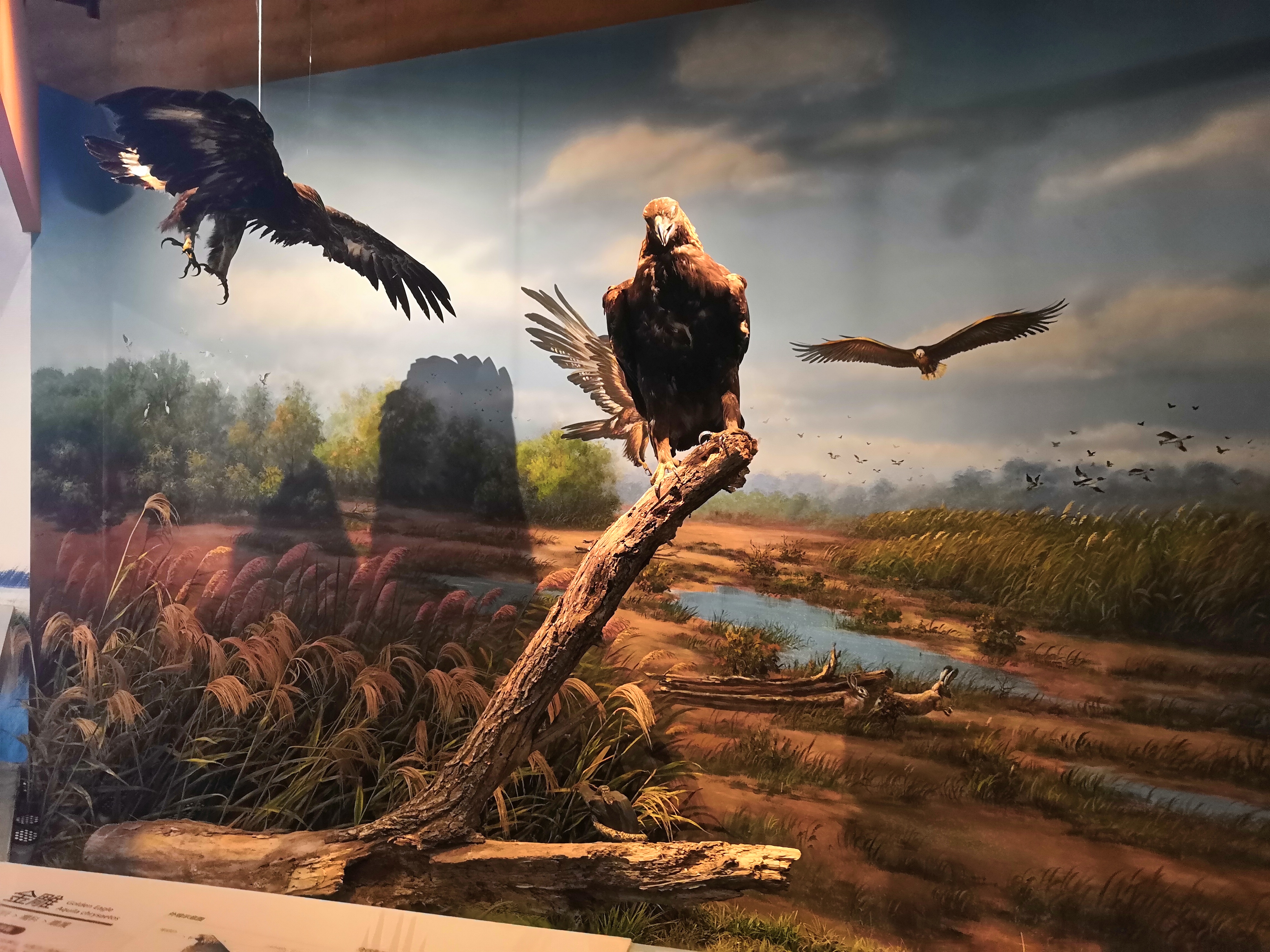 不銹鋼雕塑圖像為什么價(jià)格差距那么大，你知道嗎？